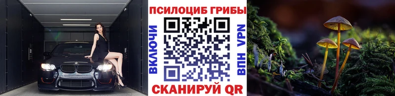 Галлюциногенные грибы Magic Shrooms  Нягань 